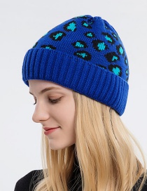 Fashion Sapphire Leopard-print Knitted Hollow Top Hat