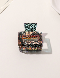 Fashion Snake Pattern-small Square Acetate Leopard Zebra Snake Print Geometric Grip