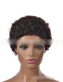 Fashion Wig-3912 Brown High Temperature Silk Wool Roll Wig