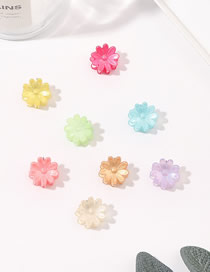 Fashion Pearlescent Flowers (10 Pcs) Plastic Frosted Flower Grip Set