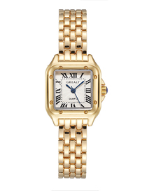 Fashion Gold Belt Titanium Geometric Square Steel Band Watch
