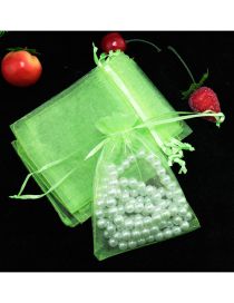 Fashion Fruit Green (100 Batches For A Single Color) Organza Zipper Bag