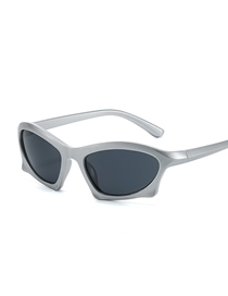 Fashion Silver Frame Grey Sheet Pc Cat Eye Large Frame Sunglasses