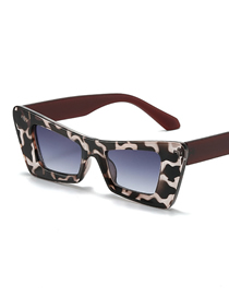 Fashion Zebra Frame Double Gray Sheet Pc Cat Eye Large Frame Sunglasses