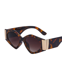 Fashion Douhua Tea Pc Irregular Sunglasses