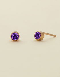 Fashion June Purple - Rose Gold Titanium Gold Plated Diamond Round Stud Earrings