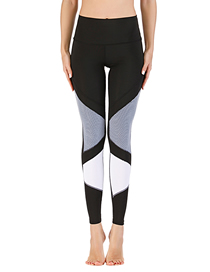 Fashion European And American Fitness Clothing Running Printing Suit Yoga Clothing Leggings Barbie Pants Sports Bra Australian Shili 11049 Blend Contrast Trousers