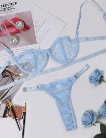 Fashion Sky Blue Net Yarn Embroidery See-through Underwear Set