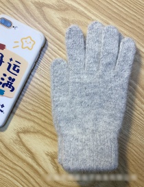 Fashion Light Gray Cashmere Plus Velvet Finger Gloves