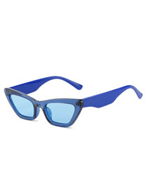 Fashion Blue Frame Cat Eye Small Frame Sunglasses