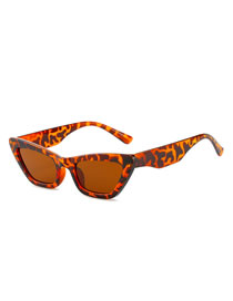 Fashion Leopard Frame Tea Slices Cat Eye Small Frame Sunglasses