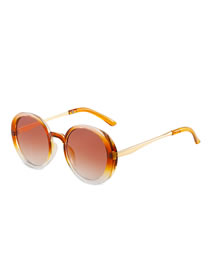 Fashion Tea Frame Tea Slices Metal Round Frame Sunglasses