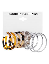 Fashion 3# Alloy Geometric Leopard Floral C Earring Set