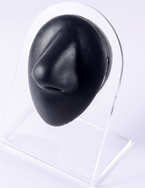 Fashion Black - Nose Silicone Ear Display Model
