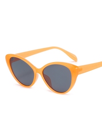 Fashion C04 Orange Pc Cat's Eye Sunglasses