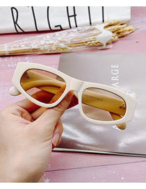 Fashion Rice White Pc Irregular Sunglasses