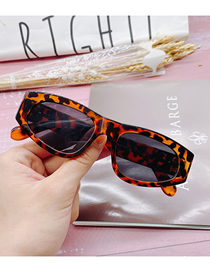 Fashion Leopard Pc Irregular Sunglasses