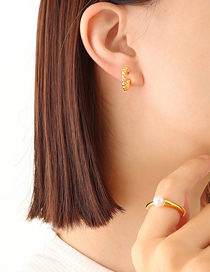 Fashion Golden Earrings Titanium Steel Gold-plated C-concatenuts