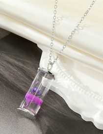 Fashion Purple Geometric Daisy Wishing Bottle Necklace