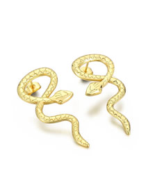 Fashion 3# Titanium Geometric Snake Stud Earrings