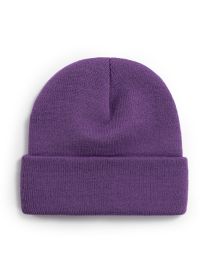 Fashion 124 Inner Purple Solid Color Wool Knit Rollover Hat