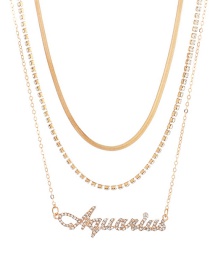 Fashion Aquarius Twelve Constellation Letters Multilayer Necklace With Diamonds