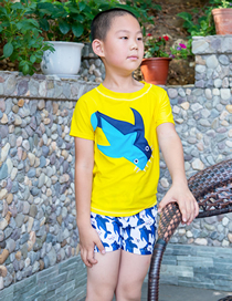 Fashion Boy Split Embroidery Shark Childrens Cartoon Split Swimsuit Suit