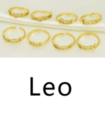 Fashion Golden Leo-leo Stainless Steel Twelve Constellation English Letters Adjustable Ring