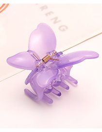 Fashion Purple Butterfly Jelly Color Hair Scratch