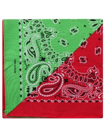 Fashion Light Green+red Yin Yang Printed Cashew Flower Square Scarf