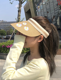 Fashion 【beige】 Small Daisy Embroidery Empty Straw Hat