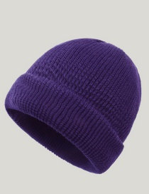 Fashion Light Purple Pure Color Wool Knit Cap