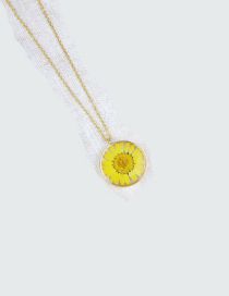 Fashion Yellow Alloy Geometric Dried Flower Circular Necklace