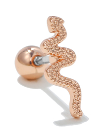 Fashion 15# Titanium Serpent Piercing Stud Earrings