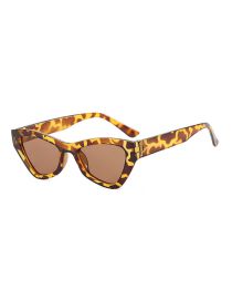 Fashion Leopard Whole Tea Pc Triangle Cat Eye Sunglasses