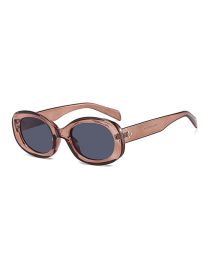 Fashion Transparent Gray Flakes Pc Oval Sunglasses