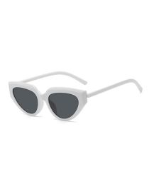 Fashion Solid White All Gray Triangle Cat Eye Sunglasses