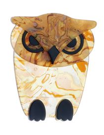 Fashion Owl Acrylic Owl Brooch  Acrylic