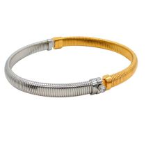Fashion (gold-steel) Two-color Collar Titanium Steel Gold-plated Diamond Geometric Elastic Collar