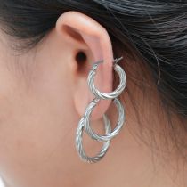 Fashion Silver Stainless Steel Twisted Wire Round Earring Set