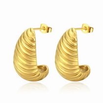 Fashion Gold Titanium Steel Geometric Crescent Thread Earrings