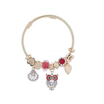 Fashion Red Alloy Diamond Owl Heart Multi-element Bracelet