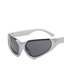 Fashion Silver Frame Gray Film Pc Cat Eye Large Frame Sunglasses