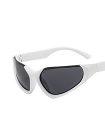 Fashion Solid White Gray Flakes Pc Cat Eye Large Frame Sunglasses