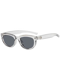 Fashion Transparent Gray Flakes Pc Square Large Frame Sunglasses