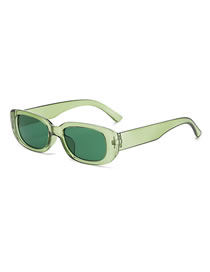 Fashion Dark Green Small Resin Square Sunglasses