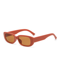 Fashion Shisha Orange Small Resin Square Sunglasses