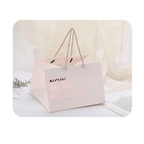 Fashion Frosted Tote Bag Frosted Tote Bag
