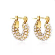 Fashion Small Pearl Gold-plated Titanium Steel Round Earrings With Pearls