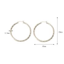 Fashion Silver Stainless Steel Twist Round Earrings